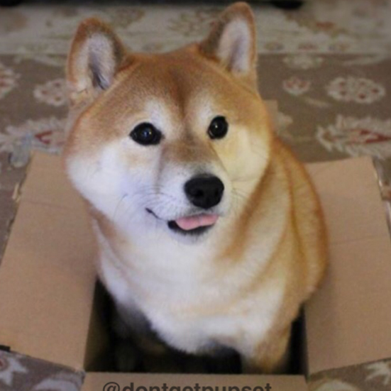 Box Boi