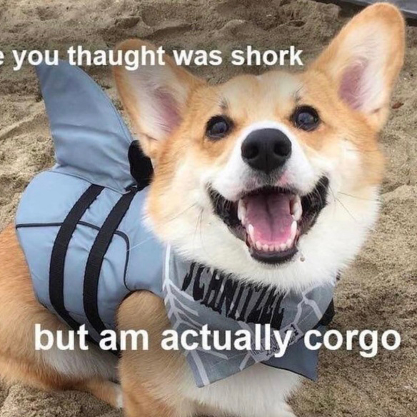Sharko
